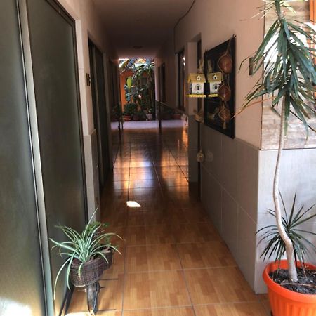 Апартаменти Casa Alejandra Антофагаста Екстер'єр фото